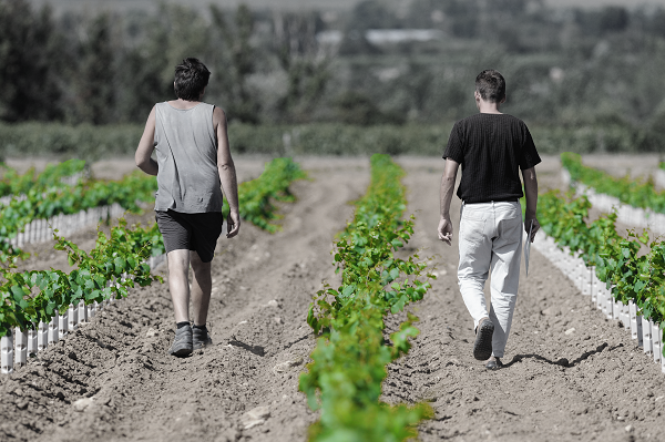 La fiabilité des Pépinières Mercier La fiabilité des Pépinières Mercier