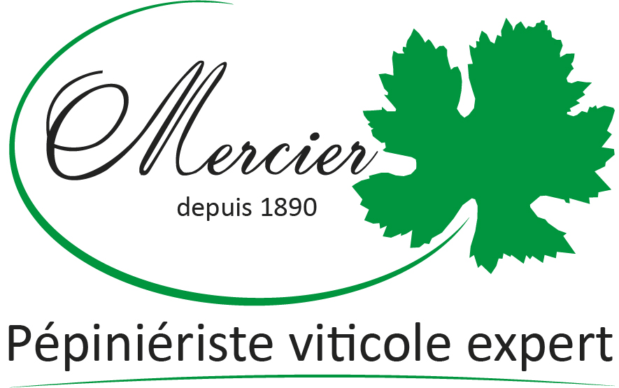 Mercier, pépiniériste viticole Plants de vigne de qualité