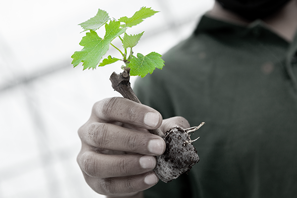 Our environmental commitments