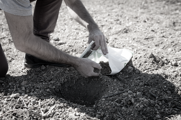 Essential soil analysis Essential soil analysis