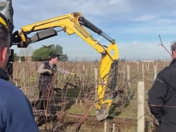 Retour sur notre deuxième journée technique « Optimisez vos complantations », organisée ce 13 janvier 2026 au @chateau_figeac à Saint-Émilion, après une...