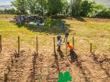 À quelques mètres de l’océan, en bord de ria près de Lorient, une nouvelle parcelle de Chenin vient d’être plantée. Le choix s’est porté sur une sélection...